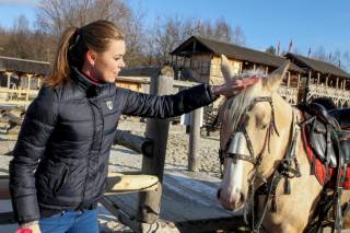Уникальную коллекцию лошадей презентуют под Киевом